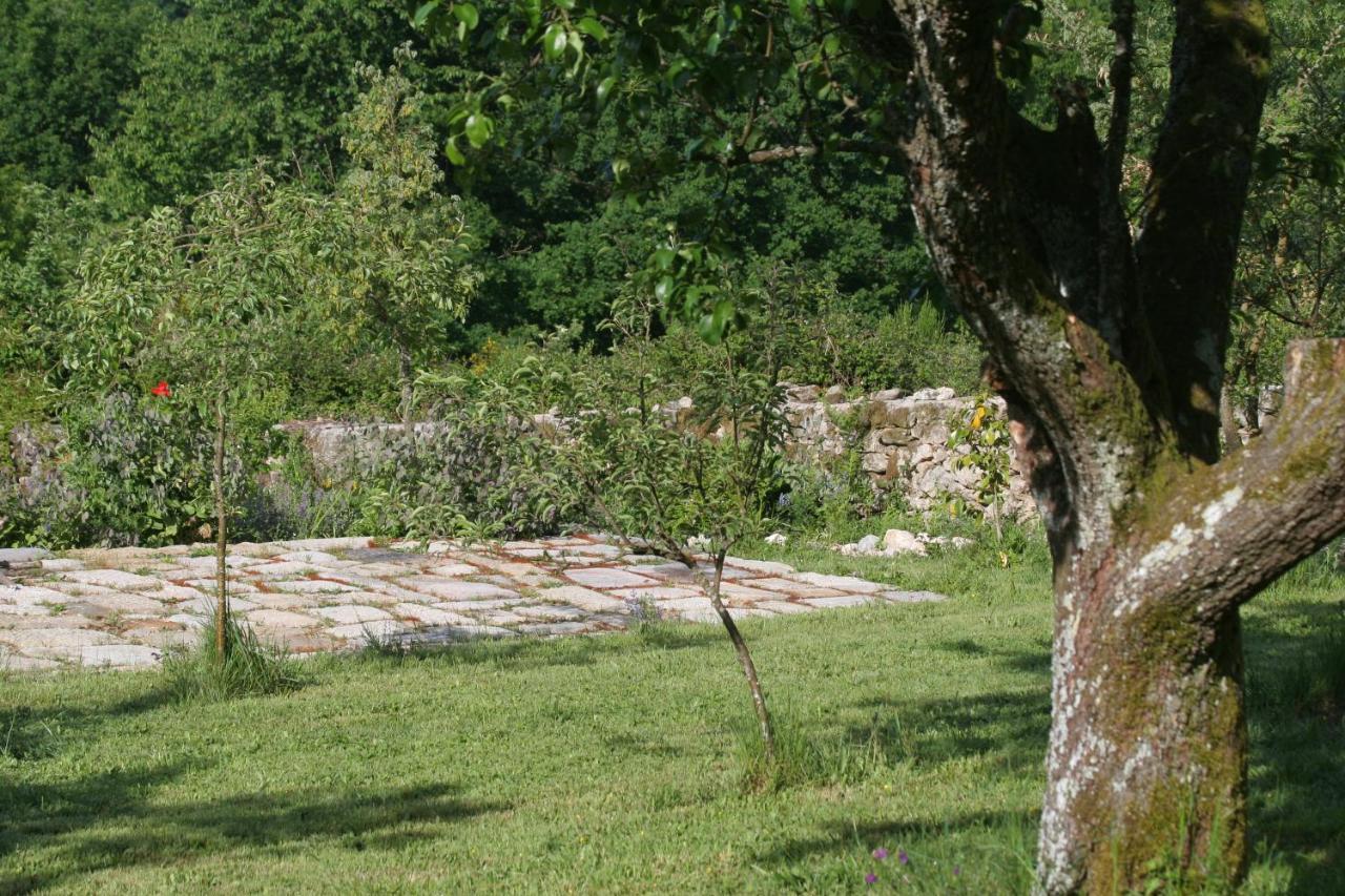 Pazo De Chaioso Ribeira Sacra Maceda Εξωτερικό φωτογραφία