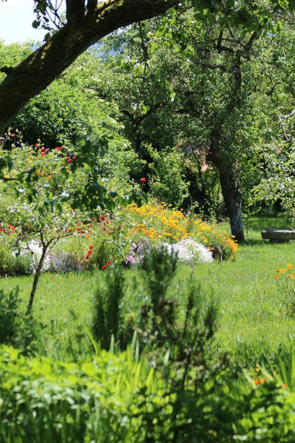 Pazo De Chaioso Ribeira Sacra Maceda Εξωτερικό φωτογραφία
