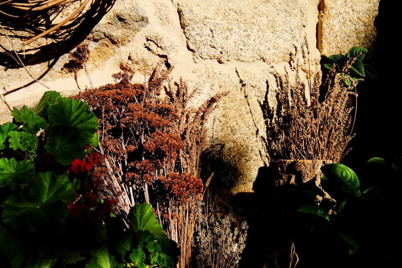 Pazo De Chaioso Ribeira Sacra Maceda Εξωτερικό φωτογραφία